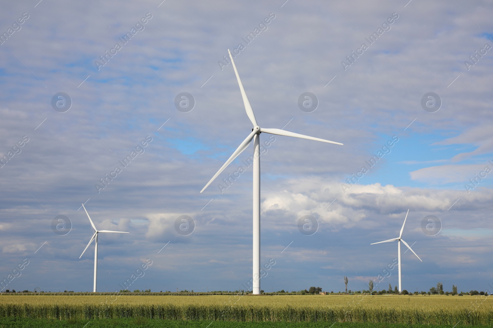 Photo of Beautiful view of field with wind turbines. Alternative energy source