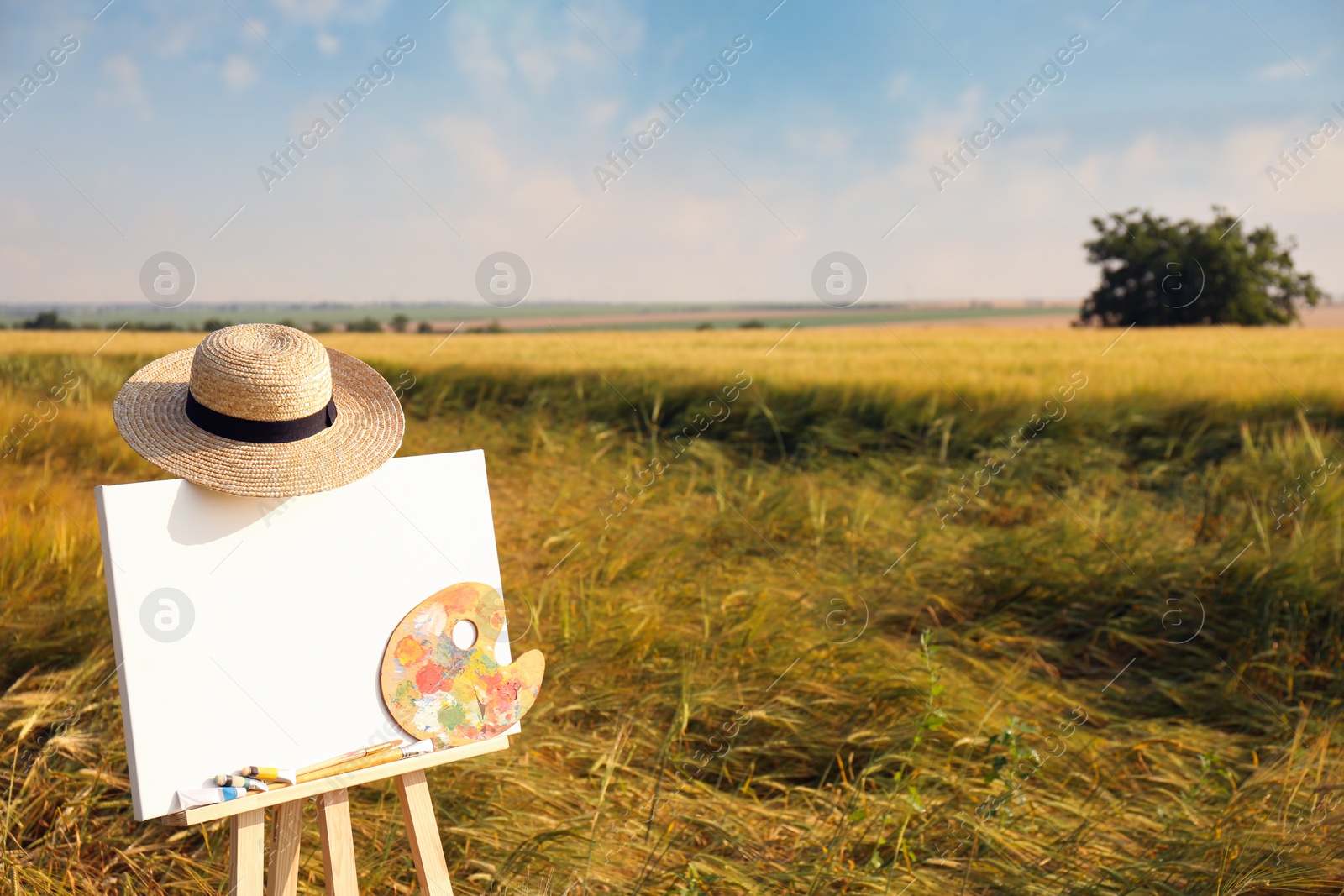 Photo of Wooden easel with blank canvas, painting equipment and hat in field. Space for text