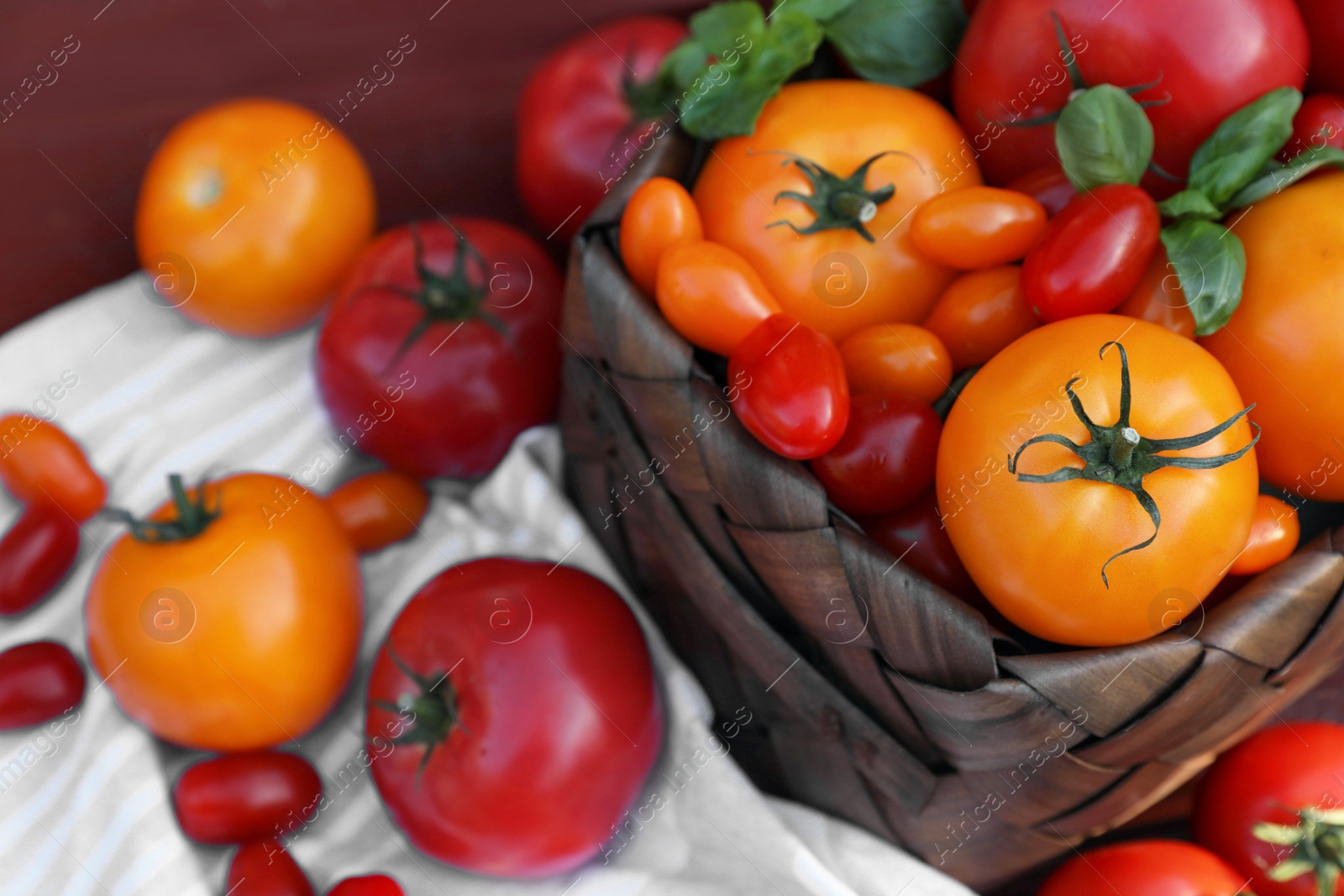 Photo of Different sorts of tomatoes on wooden bench