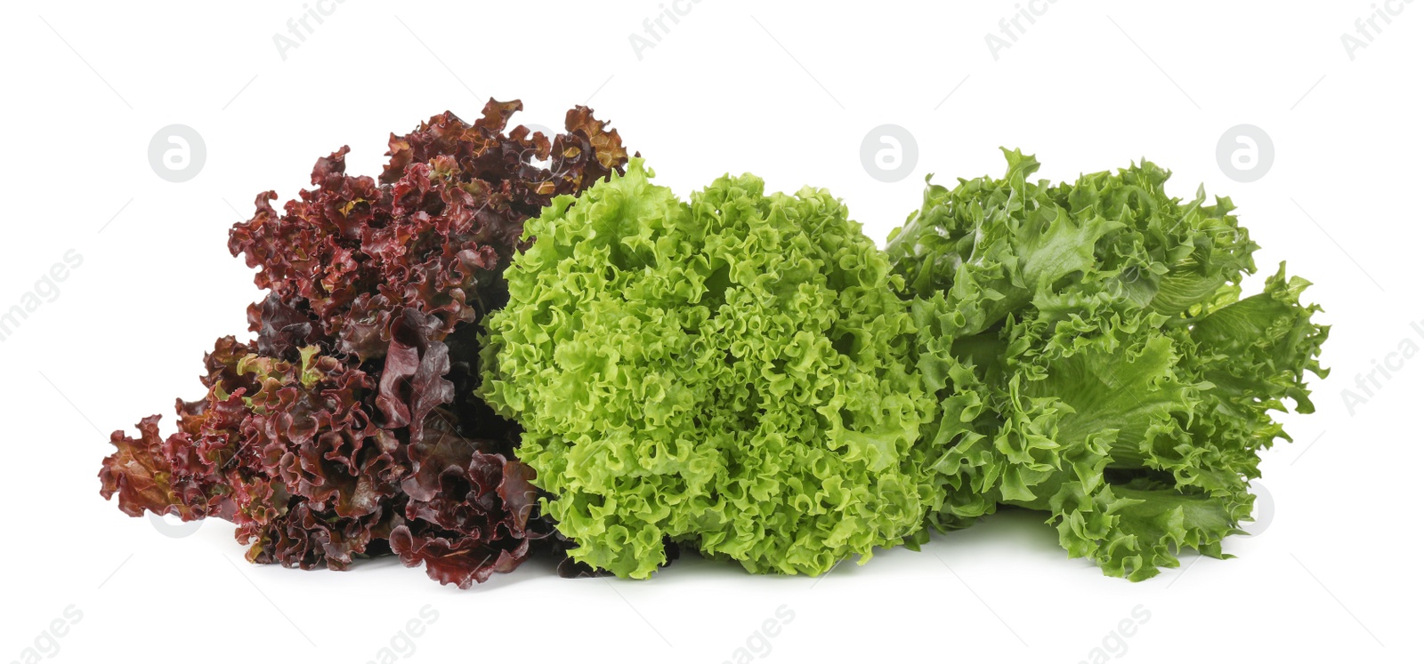 Photo of Different sorts of lettuce on white background