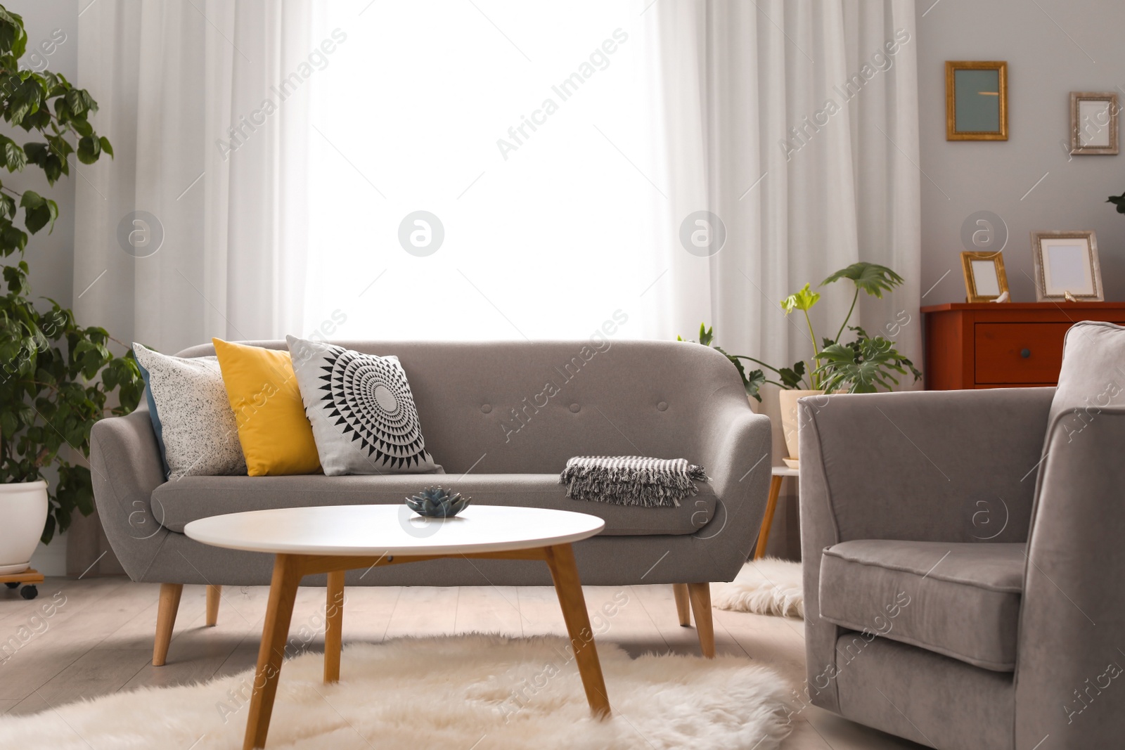 Photo of Elegant living room interior with comfortable sofa and armchair