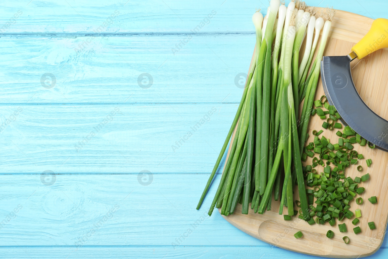 Photo of Board with fresh green onions and mincing knife on light blue wooden background, top view. Space for text