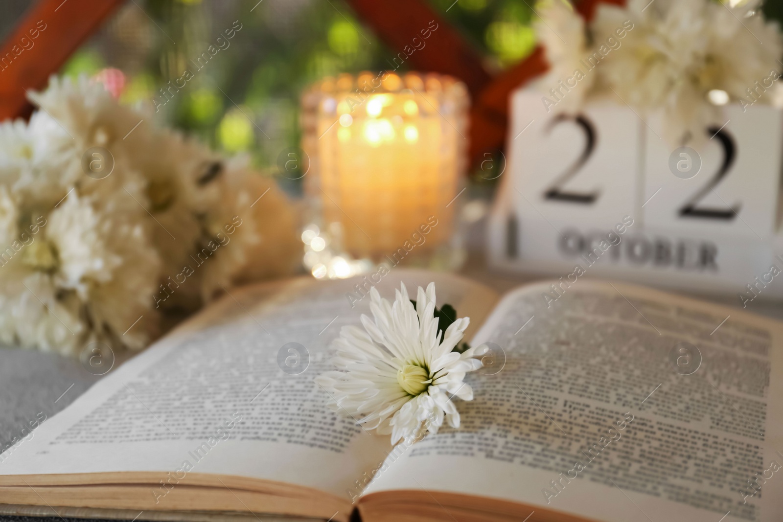 Photo of Beautiful white chrysanthemum flowers and open book on table