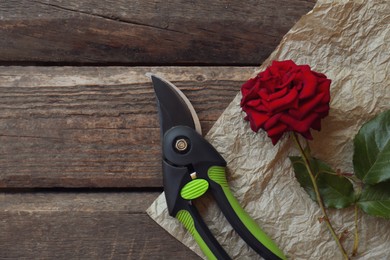 Secateurs and rose on wooden table, flat lay