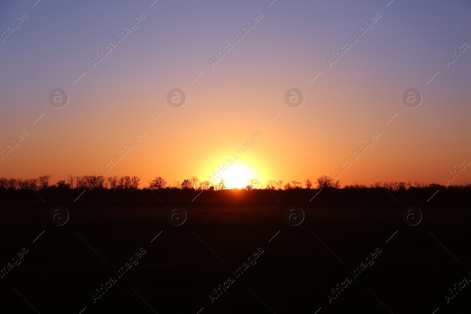 Photo of Beautiful view on field during sunset. Picturesque landscape