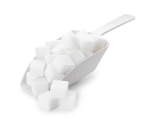 Sugar cubes in scoop isolated on white