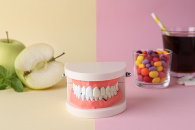 Photo of Model of jaw with teeth, healthy and harmful products on color background