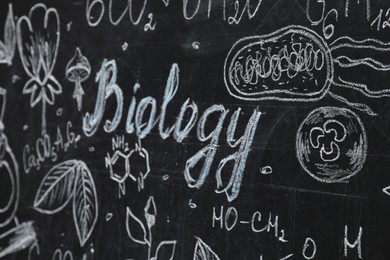 Photo of Word Biology and different pictures drawn on blackboard
