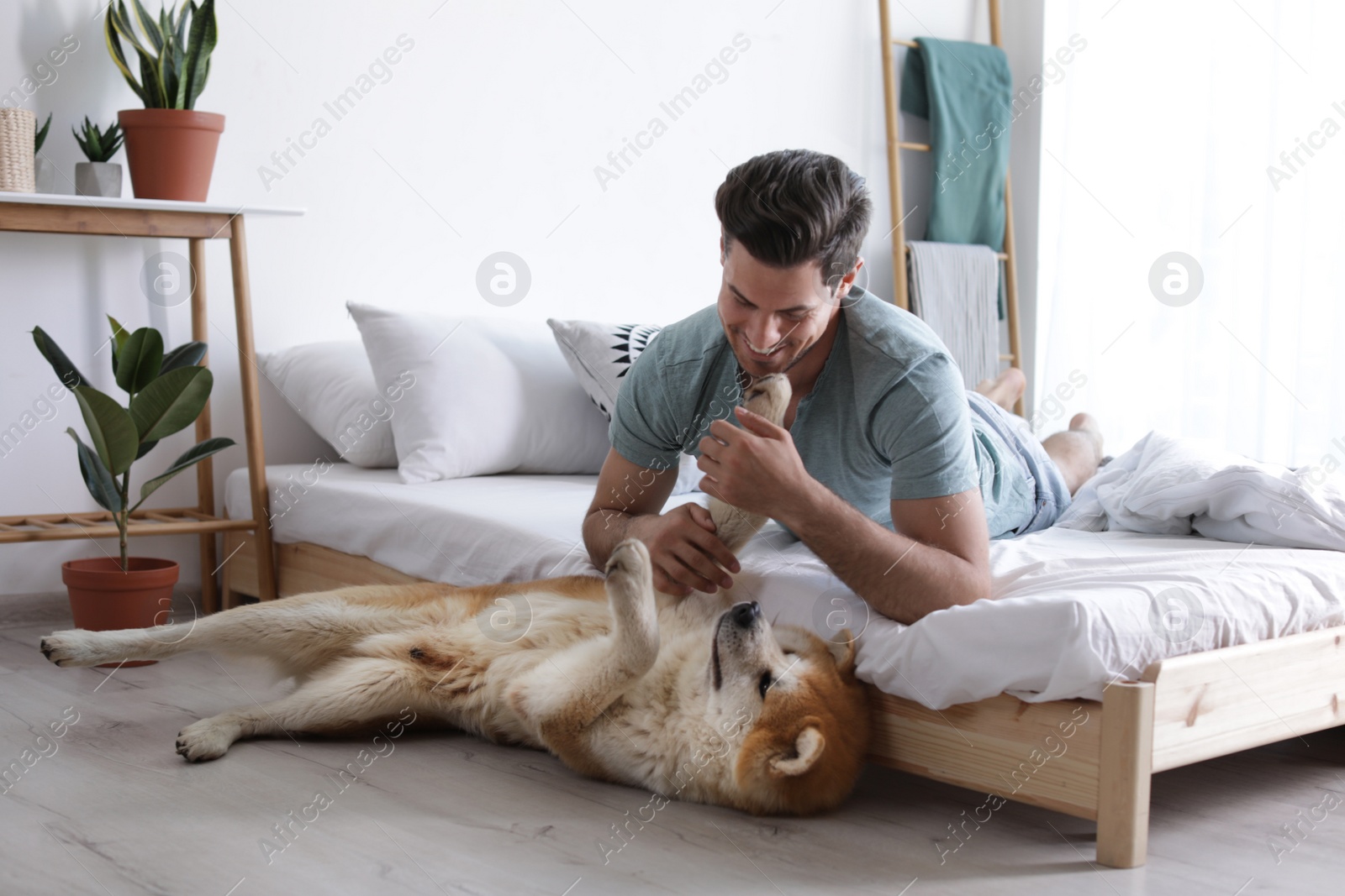 Photo of Man and Akita Inu dog in bedroom decorated with houseplants