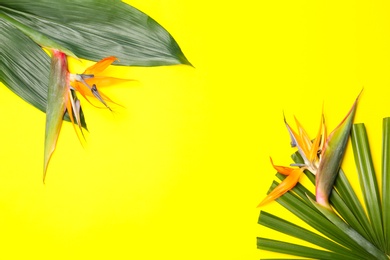 Photo of Creative composition with strelitzia flowers and tropical leaves on yellow background, flat lay