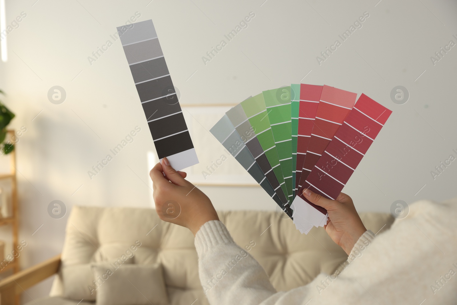 Photo of Woman with paint chips choosing color for wall in room, closeup. Interior design