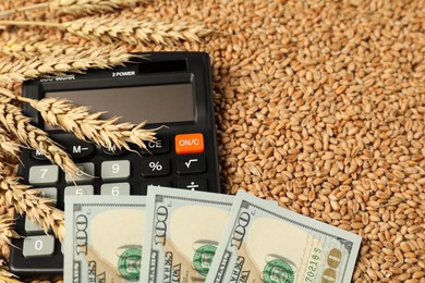 Photo of Dollar banknotes, calculator and wheat ears on grains, closeup. Agricultural business