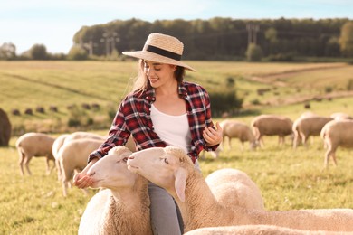 Smiling woman with bucket feeding sheep on pasture at farm