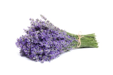 Photo of Bouquet of fresh lavender flowers on white background