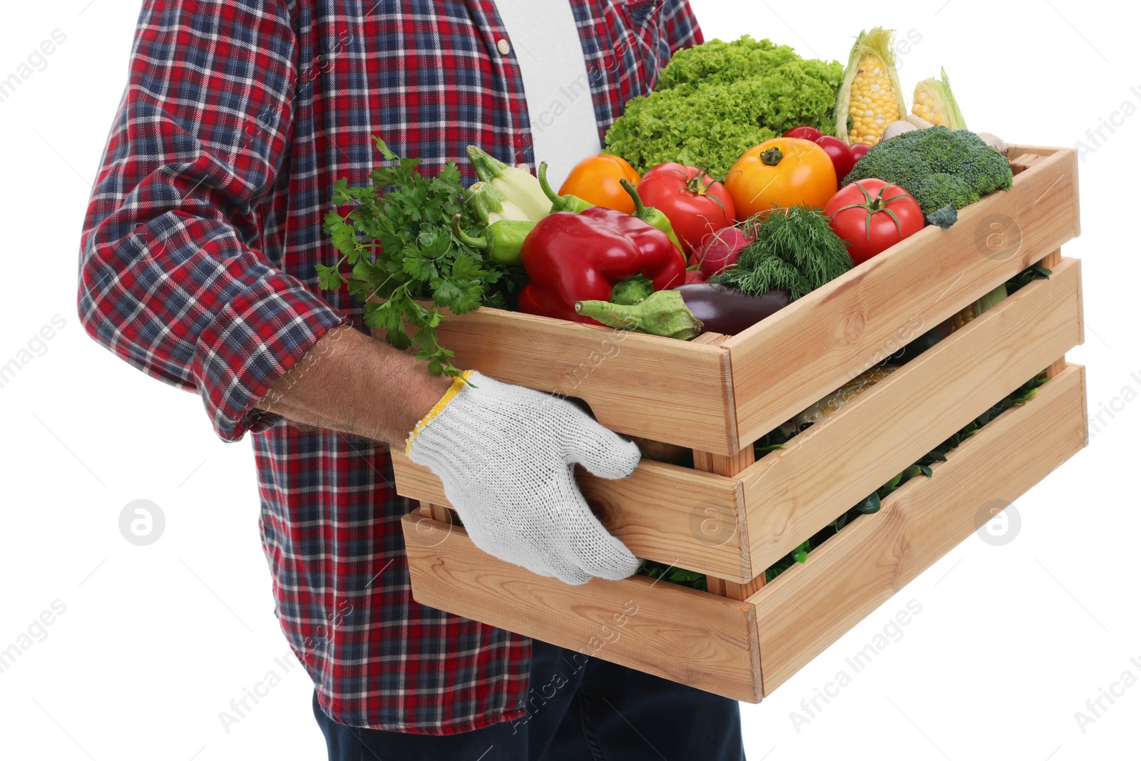 Photo of Harvesting season. Farmer holding wooden crate with vegetables on white background, closeup