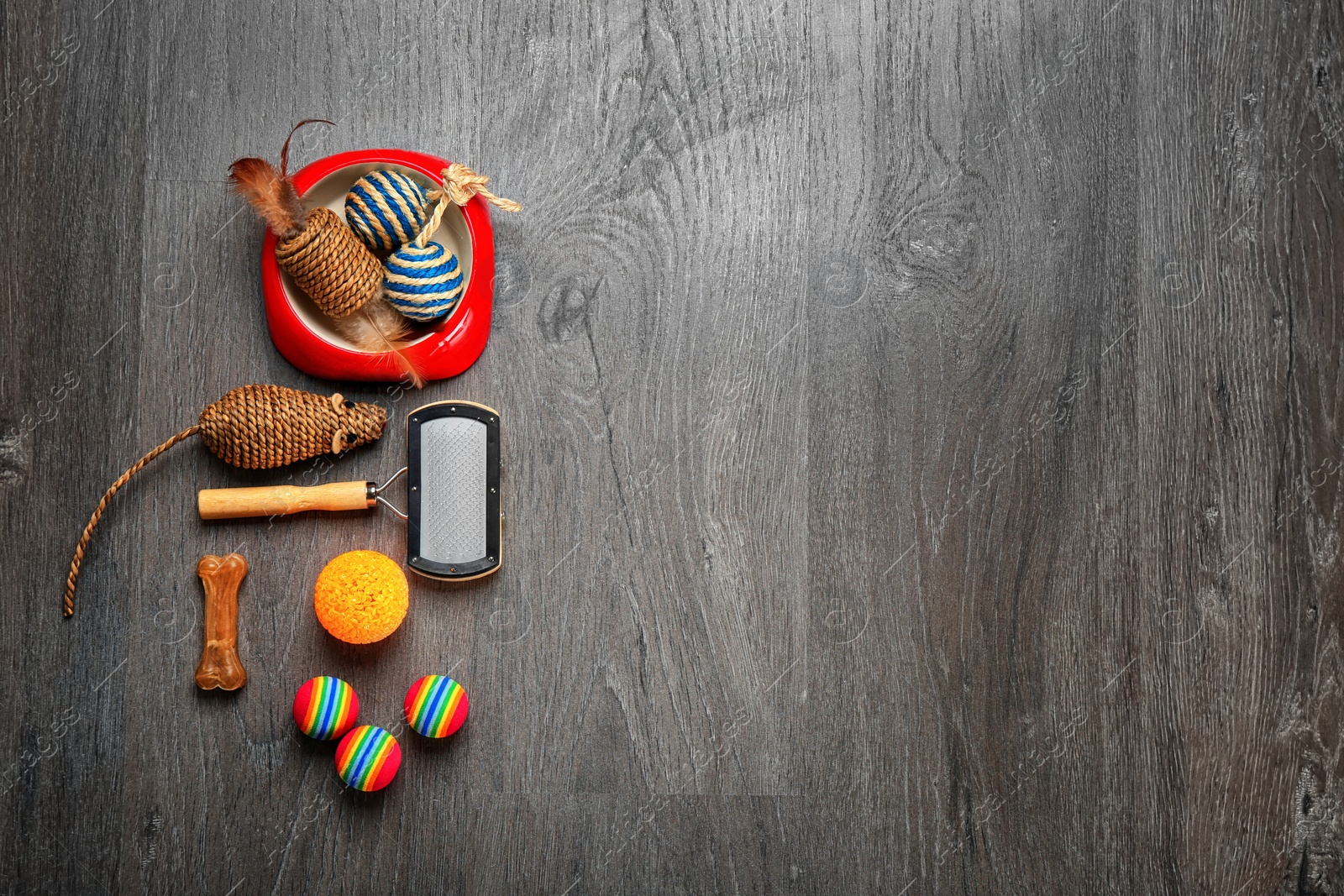 Photo of Cat's accessories on wooden background