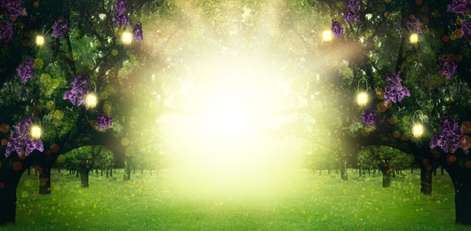 Image of Fantasy world. Trees with magic lights and blossoming flowers in enchanted forest, banner design