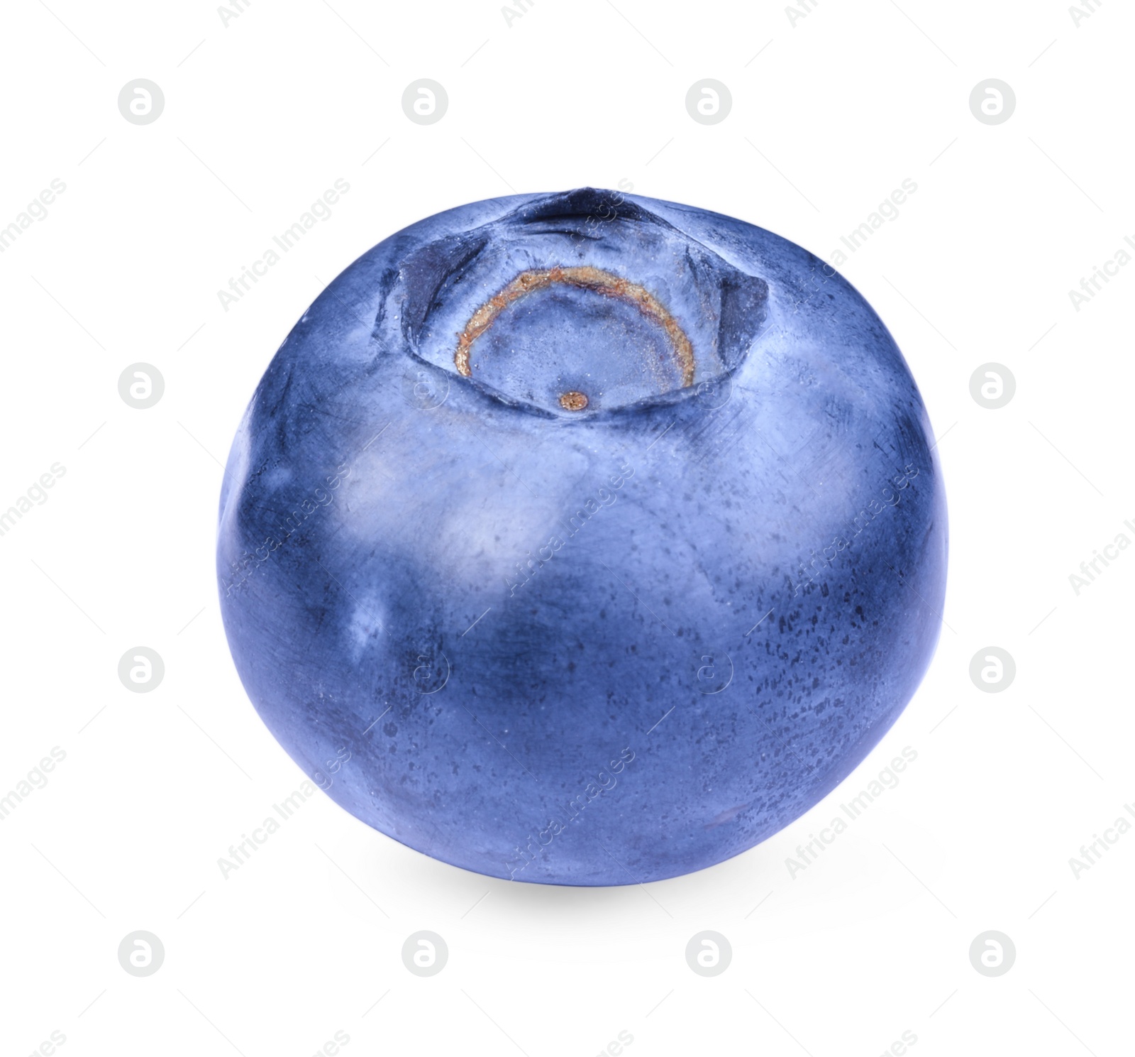 Photo of One ripe tasty blueberry isolated on white