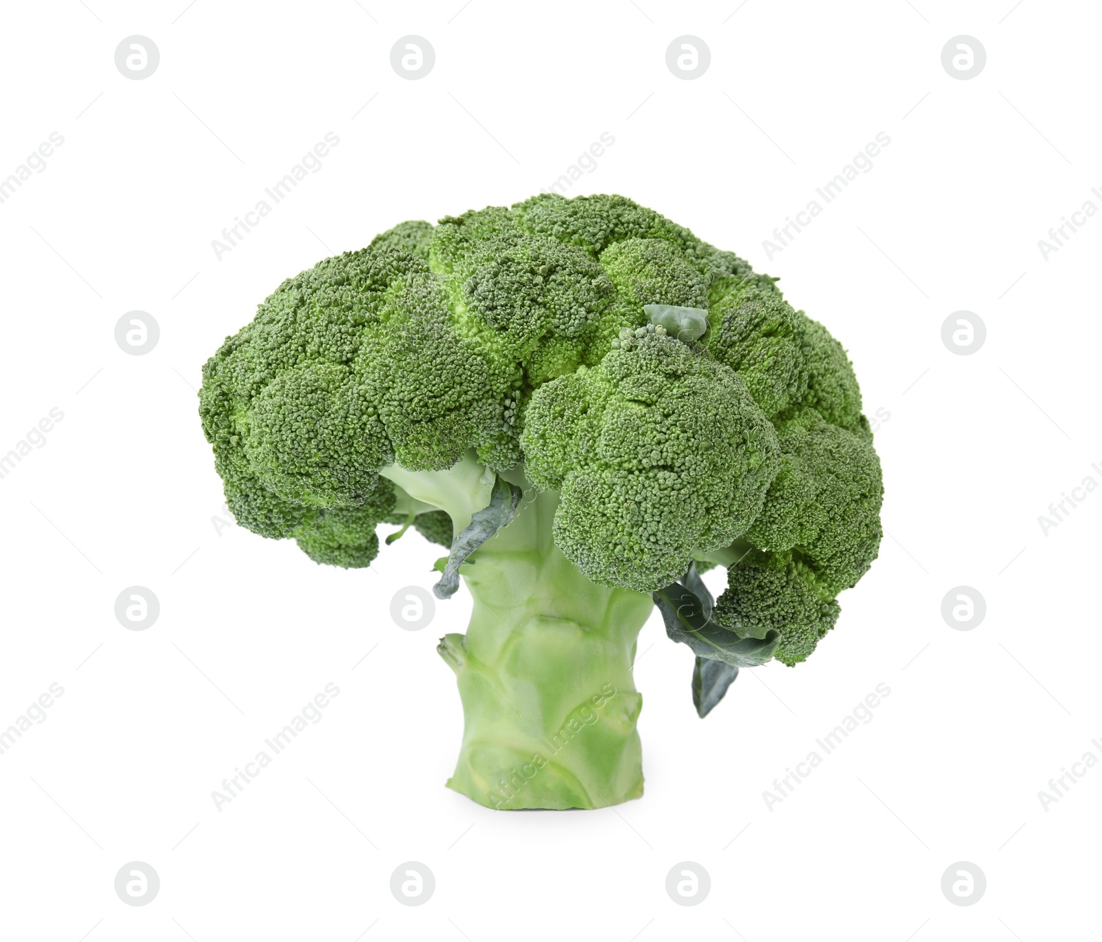 Photo of Fresh raw green broccoli isolated on white