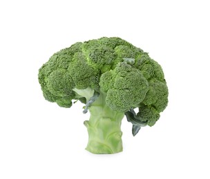 Photo of Fresh raw green broccoli isolated on white