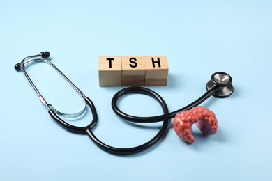 Photo of Endocrinology. Stethoscope, wooden cubes with thyroid hormones and model of gland on light blue background