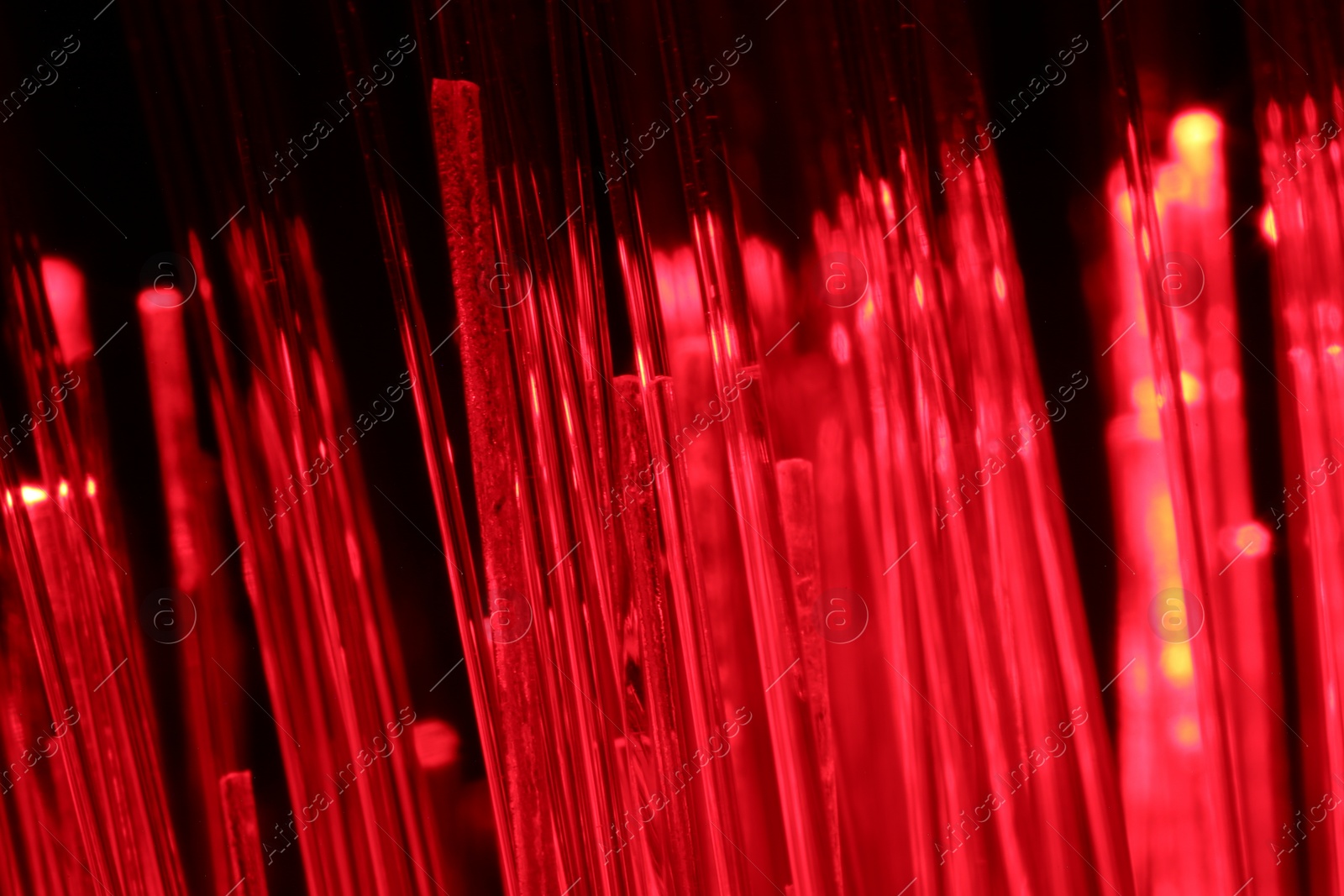 Photo of Optical fiber strands transmitting red light on black background, macro view