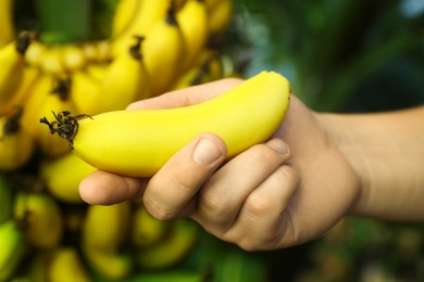 Woman holding ripe banana near tree outdoors, closeup