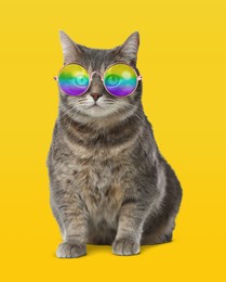 Image of Funny cat in stylish sunglasses with rainbow lenses on yellow background