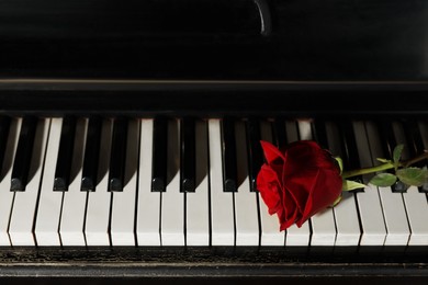 Photo of Beautiful red rose on piano keys. Romantic music