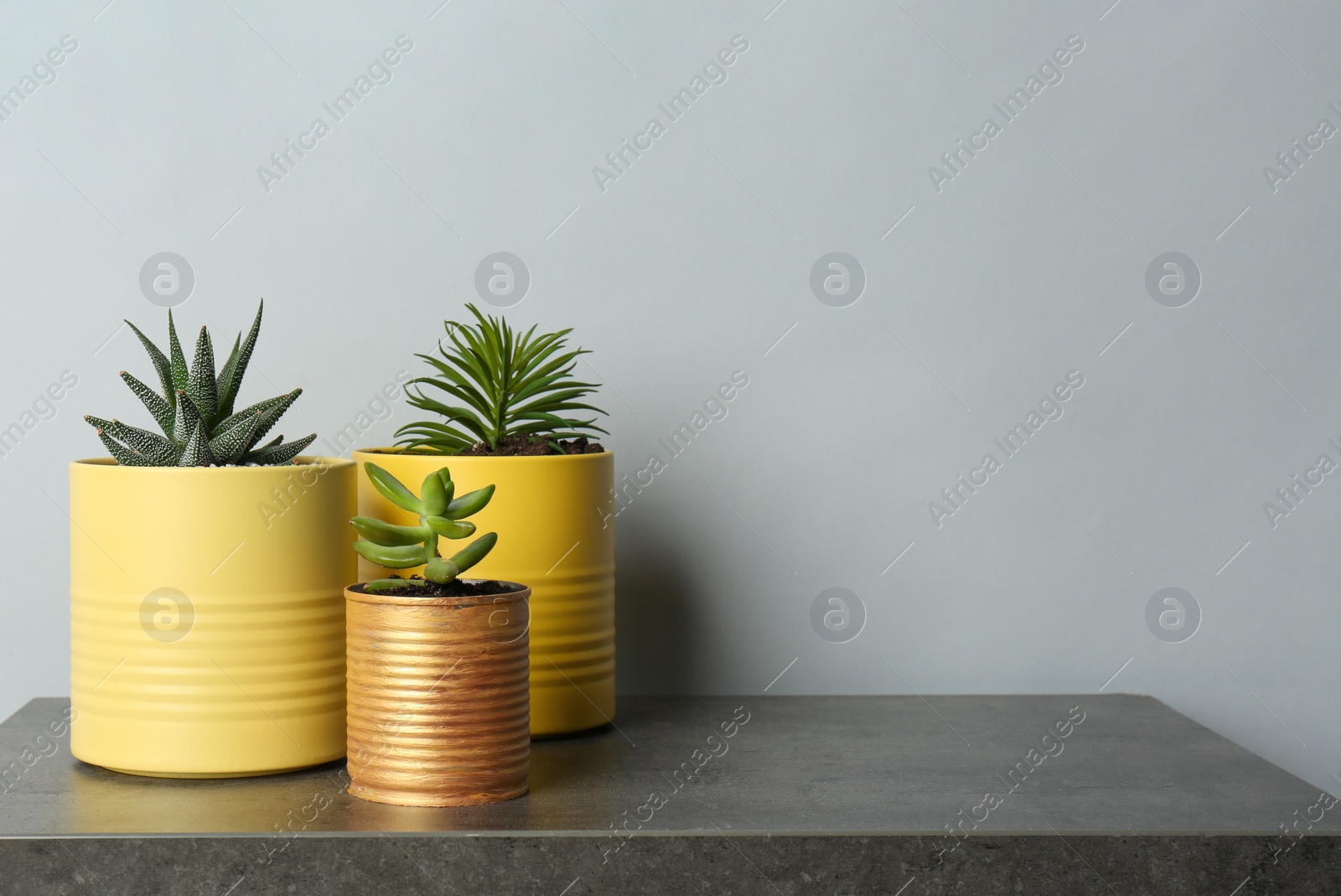 Photo of Beautiful plants in tin cans on grey stone table. Space for text