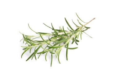 Sprig of fresh rosemary isolated on white