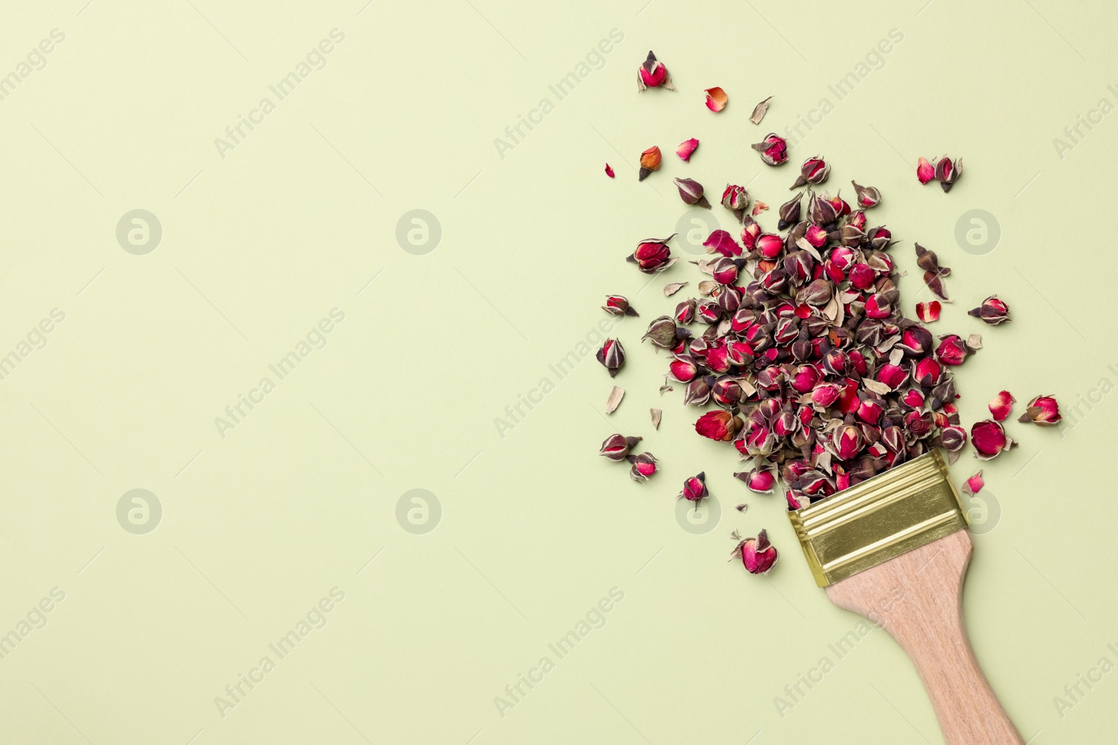 Photo of Creative flat lay composition with paint brush and dried rose buds on light green background. Space for text