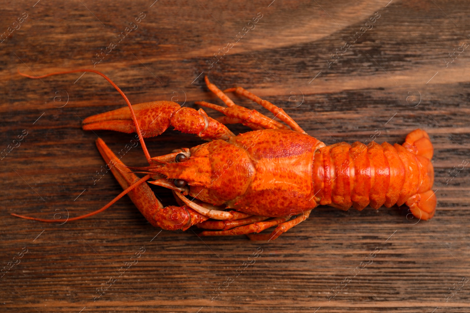 Photo of Delicious boiled crayfish on wooden table, top view