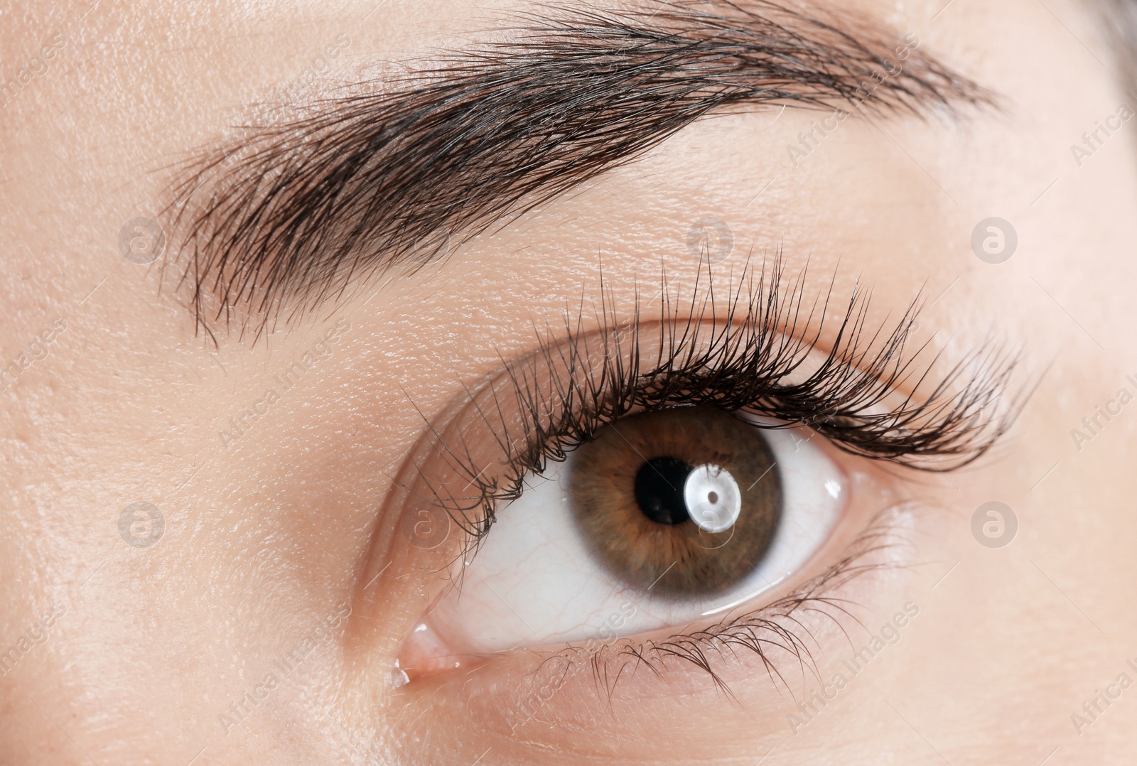 Photo of Young woman with beautiful eyelashes, closeup view