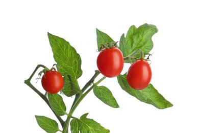 Photo of Stem with ripe cherry tomatoes and leaves isolated on white