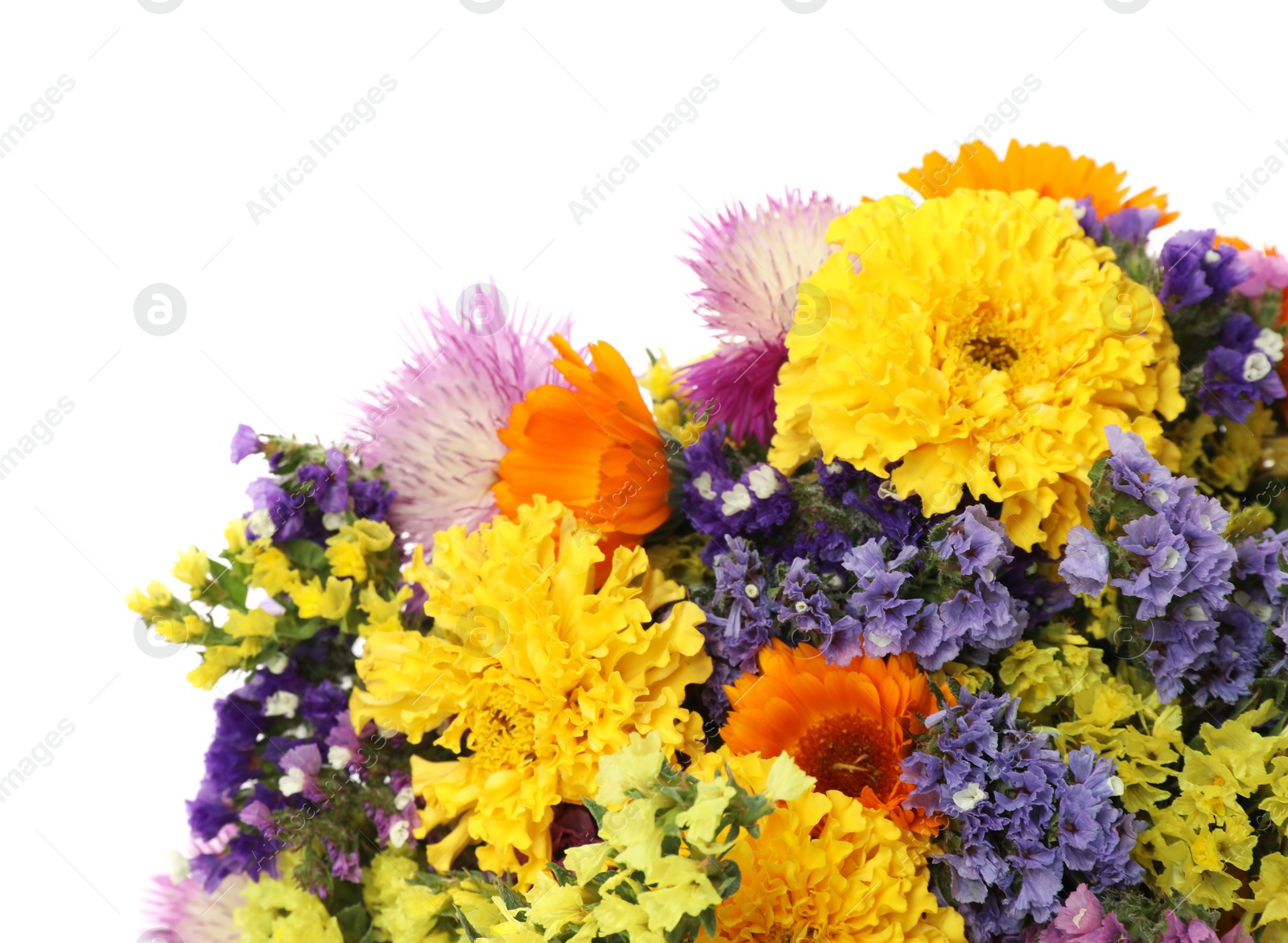 Photo of Bunch of beautiful wild flowers on white background