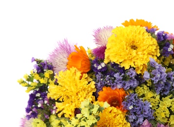 Bunch of beautiful wild flowers on white background