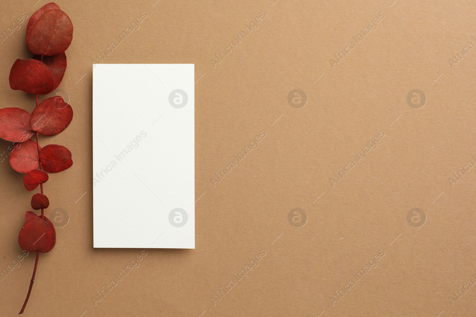 Photo of Blank business card and red eucalyptus branch on beige background, flat lay. Mockup for design