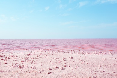 Photo of Beautiful view of pink lake on sunny day