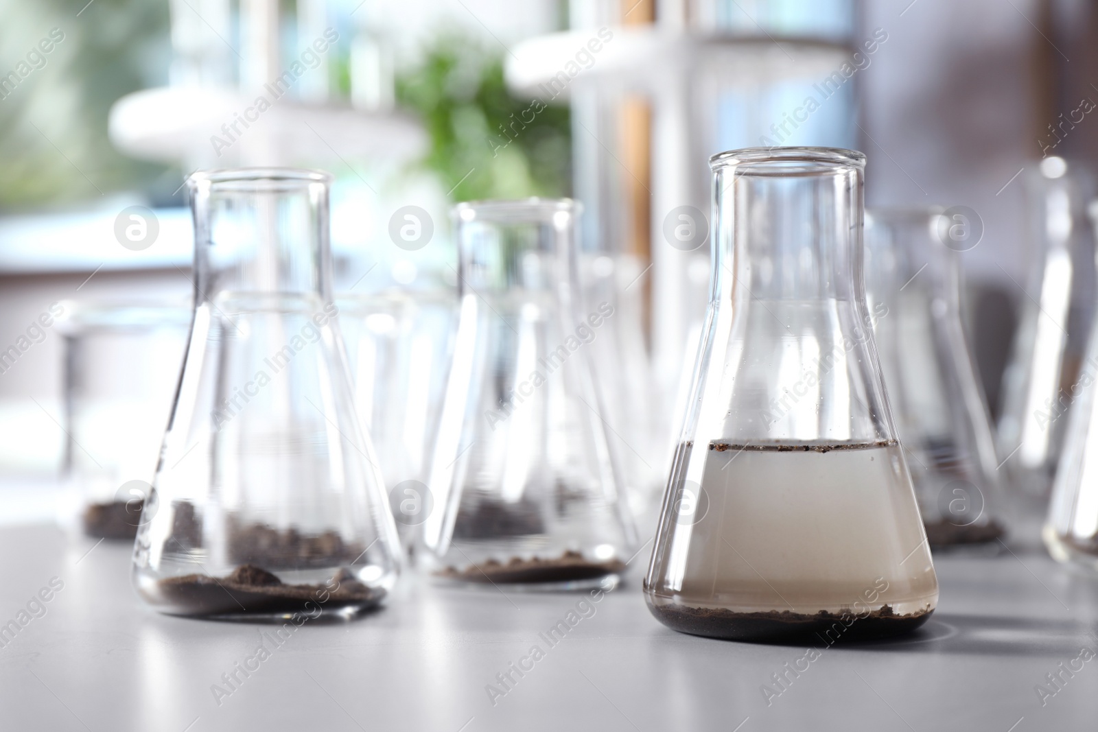 Photo of Glassware with soil samples and extract on grey table. Laboratory research