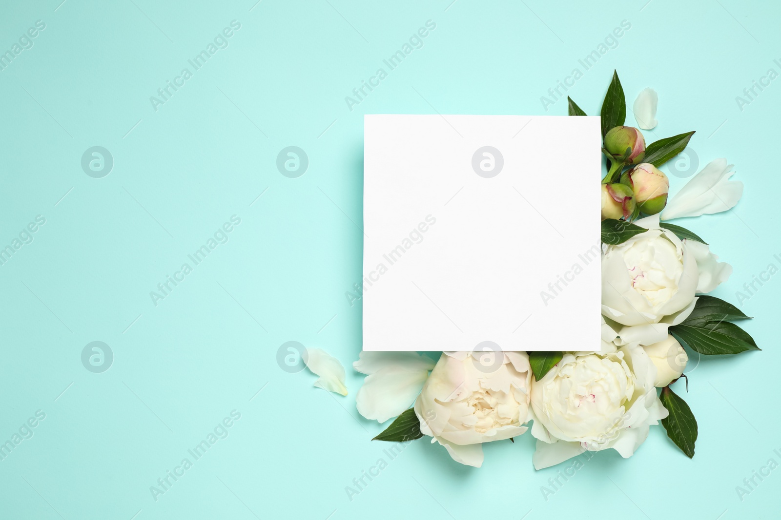 Photo of Beautiful white peonies and blank card on turquoise background, flat lay. Space for text