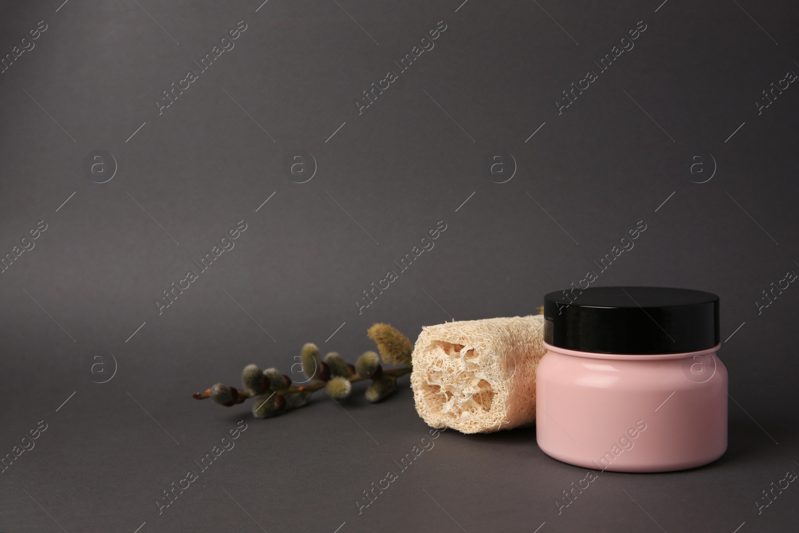 Photo of Jar with cosmetic product, loofah sponge and willow branch on dark grey background. Space for text