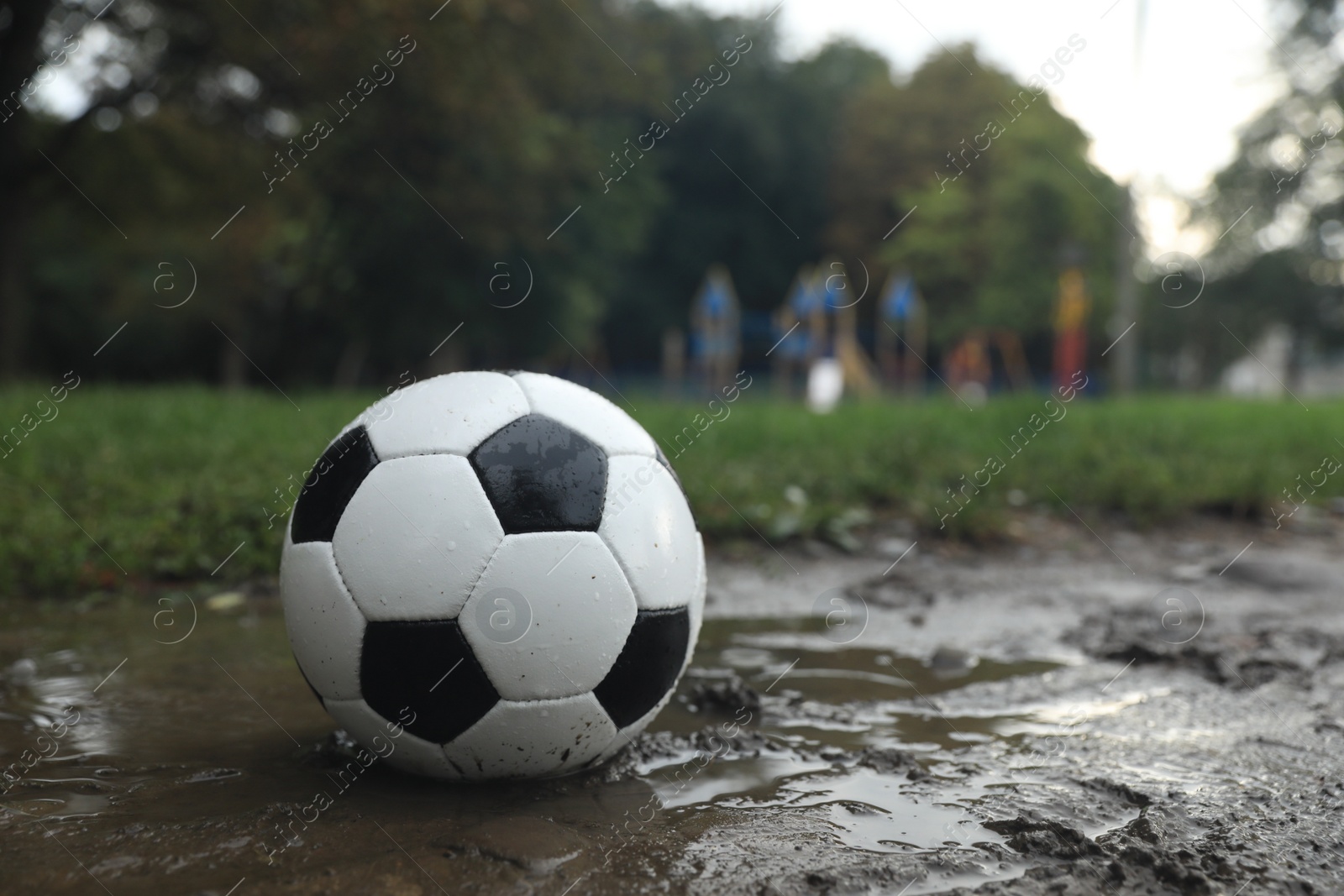 Photo of Leather soccer ball in puddle outdoors, space for text