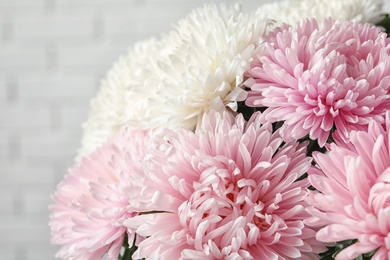 Beautiful aster flower bouquet near brick wall, closeup