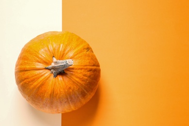 Photo of Pumpkin and space for text on color background, top view. Autumn holidays