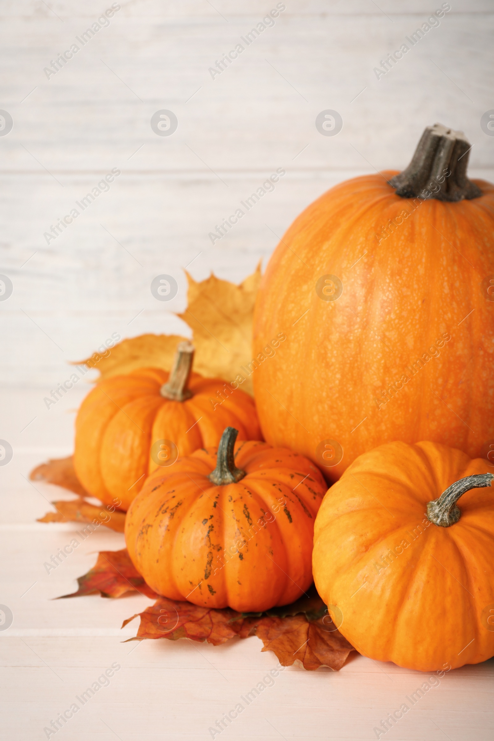 Photo of Fresh ripe pumpkins and dry leaves on white wooden table