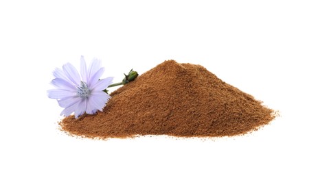Pile of chicory powder and flower on white background