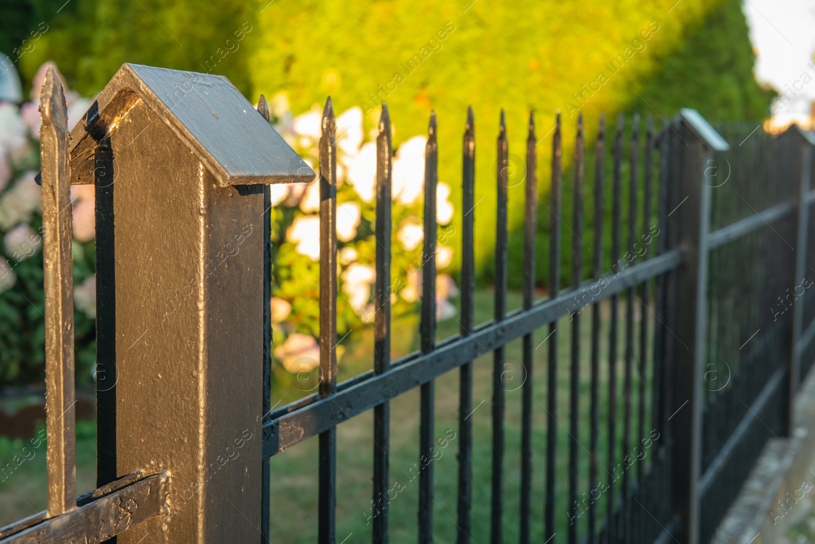 Photo of Railing of beautiful black iron fence outdoors, closeup