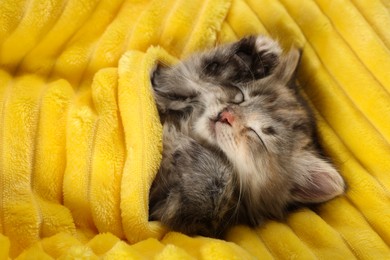 Photo of Cute kitten sleeping in soft yellow blanket, above view