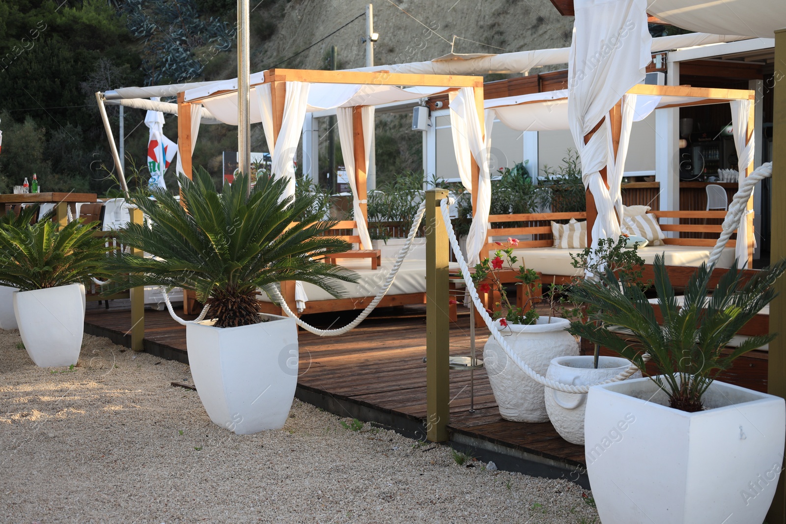 Photo of Seashore with sunbeds and potted palms on summer day